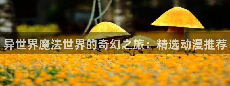 age动漫怎么了