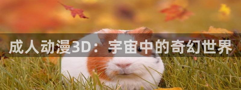 age动漫网址是什么